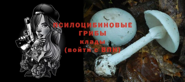 винт Балахна