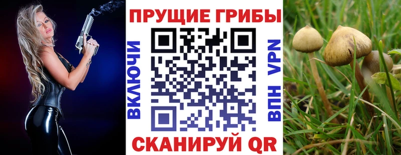 Купить где  Новоульяновск  Галлюциногенные грибы GOLDEN TEACHER 